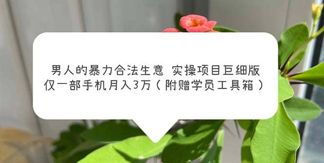 男人的暴力合法生意实操项目巨细版：仅一部手机月入3w（附赠学员工具箱）赚米吧-网创项目资源站-副业项目-创业项目-搞钱项目赚米吧