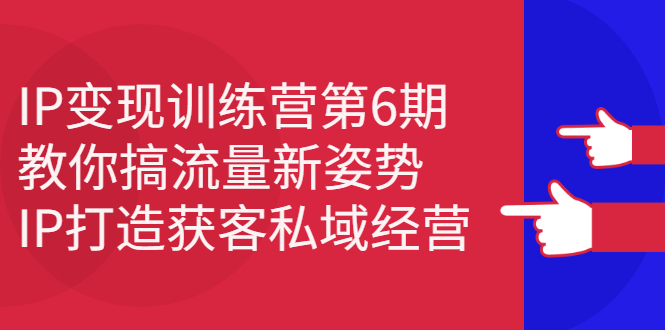 IP变现训练营第6期：教你搞流量新姿势，IP打造获客私域经营赚米吧-网创项目资源站-副业项目-创业项目-搞钱项目赚米吧