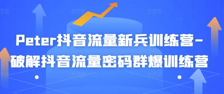 Peter抖音流量新兵训练营-破解抖音流量密码群爆训练营（新兵）赚米吧-网创项目资源站-副业项目-创业项目-搞钱项目赚米吧