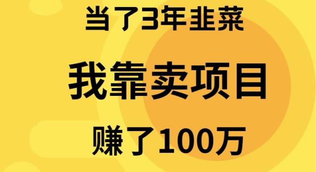 当了3年韭菜，我靠卖项目赚了100万赚米吧-网创项目资源站-副业项目-创业项目-搞钱项目赚米吧