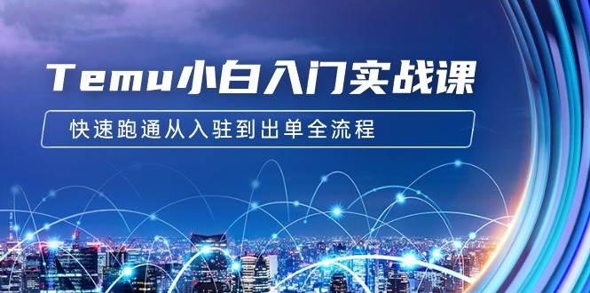 Temu小白入门实战课：跨境拼多多电商培训 快速跑通从入驻到出单全流程-12节赚米吧-网创项目资源站-副业项目-创业项目-搞钱项目赚米吧