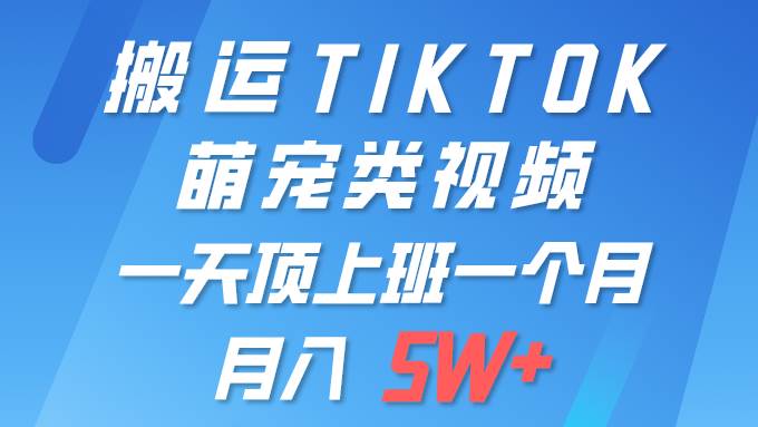 一键搬运TIKTOK萌宠类视频 一部手机即可操作 所有平台均可发布 轻松月入5W+赚米吧-网创项目资源站-副业项目-创业项目-搞钱项目赚米吧