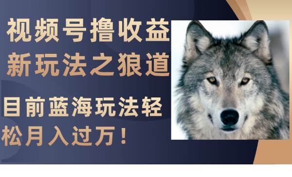 视频号撸收益新玩法之狼道，目前蓝海玩法轻松月入过万！赚米吧-网创项目资源站-副业项目-创业项目-搞钱项目赚米吧