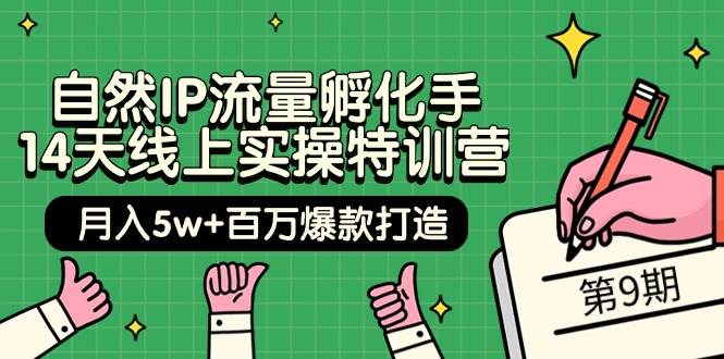 自然IP流量孵化手 14天线上实操特训营【第9期】月入5w+百万爆款打造 (74节)赚米吧-网创项目资源站-副业项目-创业项目-搞钱项目赚米吧