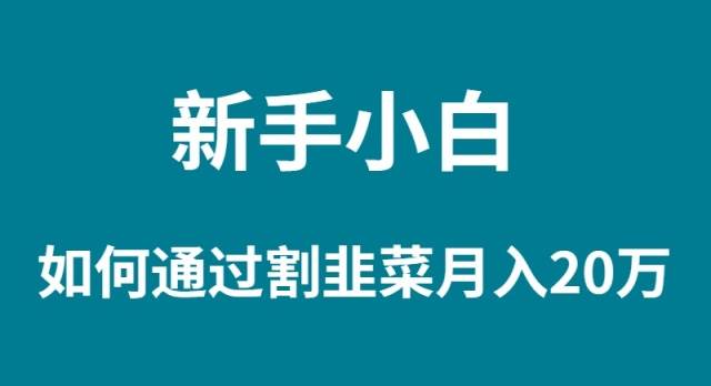 新手小白如何通过割韭菜月入 20W赚米吧-网创项目资源站-副业项目-创业项目-搞钱项目赚米吧
