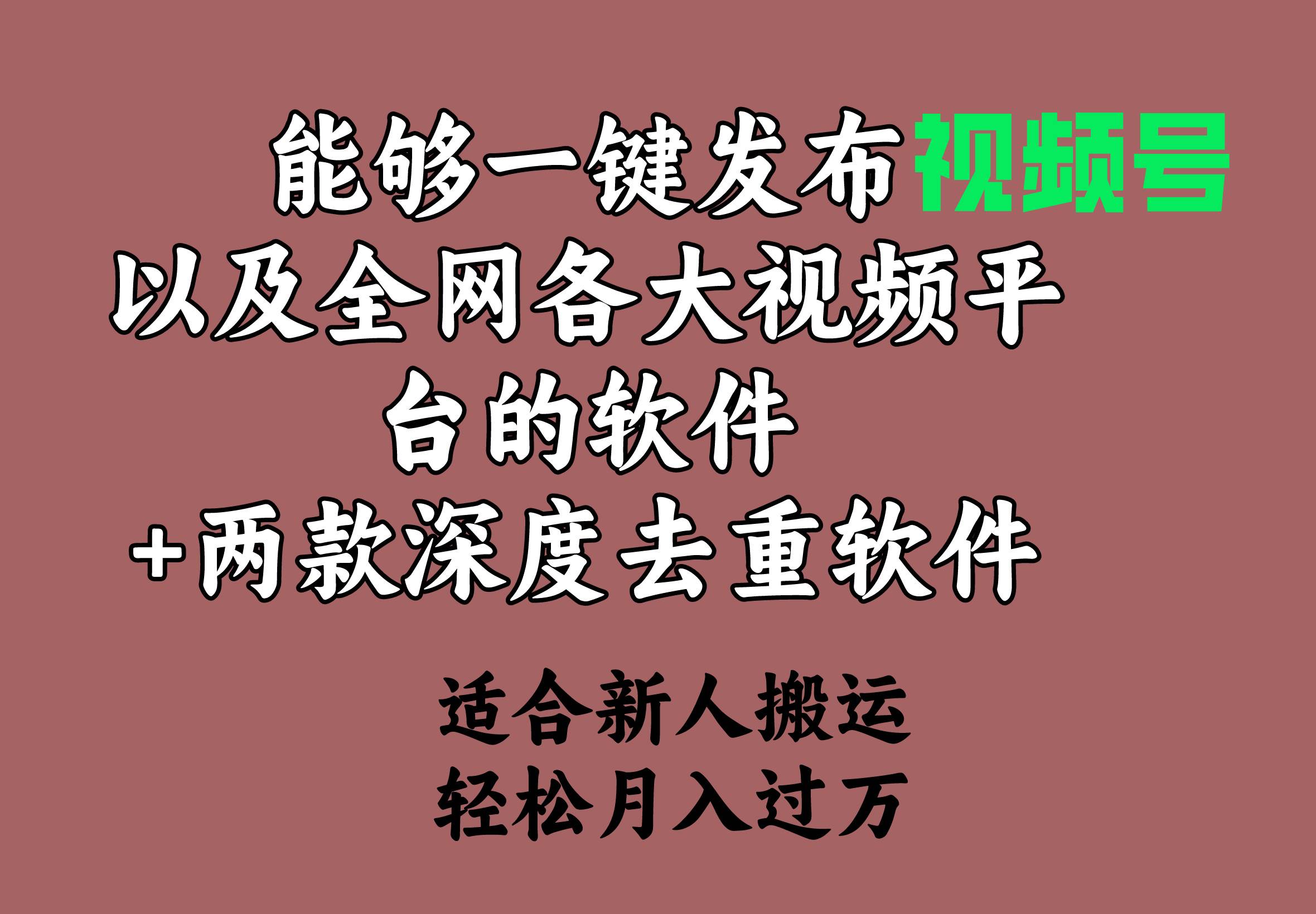 能够一键发布视频号以及全网各大视频平台的软件+两款深度去重软件 适合…赚米吧-网创项目资源站-副业项目-创业项目-搞钱项目赚米吧
