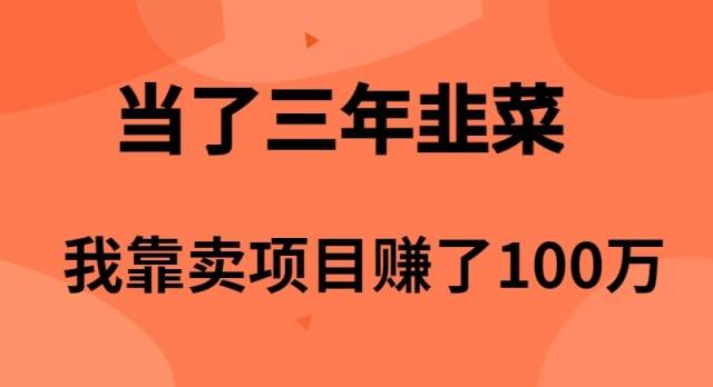 当了3年韭菜，我靠卖项目赚了100万赚米吧-网创项目资源站-副业项目-创业项目-搞钱项目赚米吧
