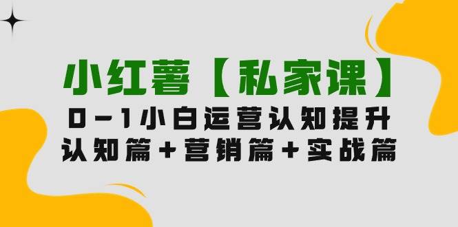 小红薯【私家课】0-1玩赚小红书内容营销，认知篇+营销篇+实战篇（11节课）赚米吧-网创项目资源站-副业项目-创业项目-搞钱项目赚米吧