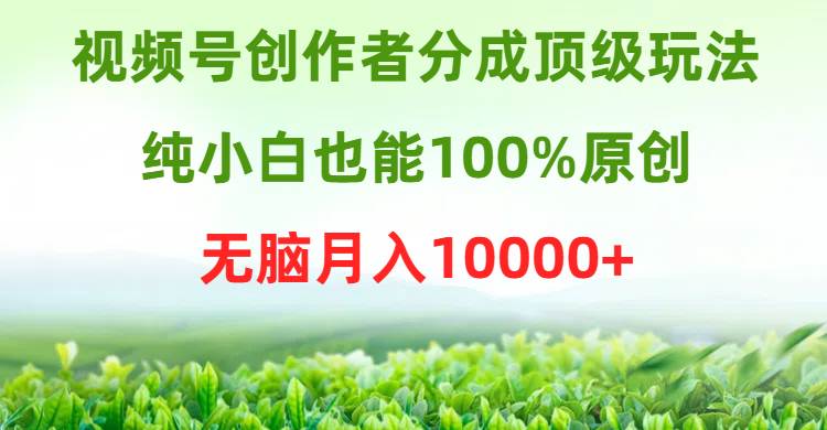 视频号创作者分成顶级玩法，纯小白也能100%原创，无脑月入10000+赚米吧-网创项目资源站-副业项目-创业项目-搞钱项目赚米吧