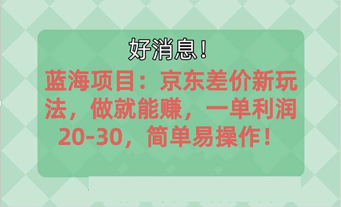 越早知道越能赚到钱的蓝海项目：京东大平台操作，一单利润20-30，简单…赚米吧-网创项目资源站-副业项目-创业项目-搞钱项目赚米吧