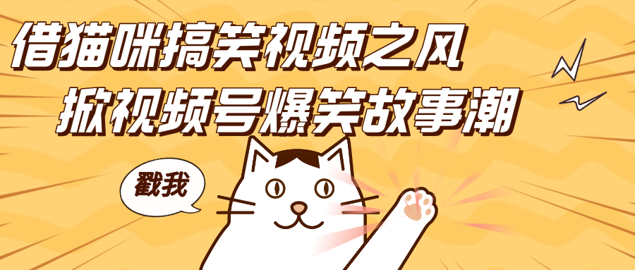 借猫咪搞笑视频之风，掀视频号爆笑故事潮，轻松日赚四位数，开启无门槛赚钱新体验！赚米吧-网创项目资源站-副业项目-创业项目-搞钱项目赚米吧