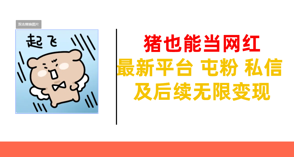 猪也能当网红-最新平台 屯粉 交流 私信 及后续无限变现赚米吧-网创项目资源站-副业项目-创业项目-搞钱项目赚米吧