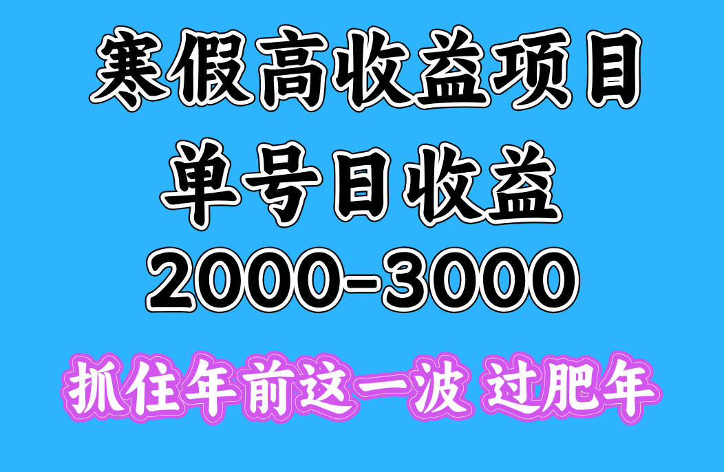 寒假期间一天收益2000-3000+，抓住年前这一波赚米吧-网创项目资源站-副业项目-创业项目-搞钱项目赚米吧