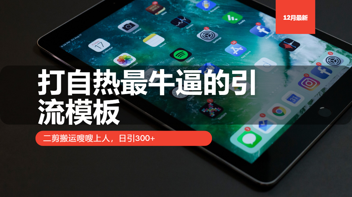 打自热最牛逼的引流模板，日引300+，二剪搬运嗖嗖上人赚米吧-网创项目资源站-副业项目-创业项目-搞钱项目赚米吧
