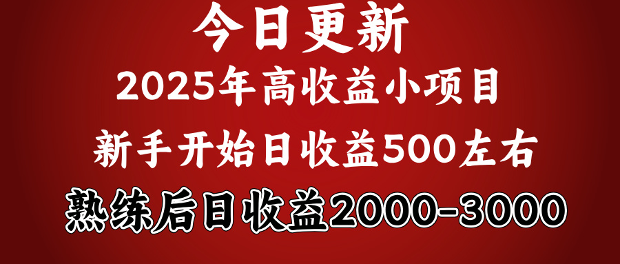 好项目一眼就能看出来，日收益1000，长久可做，2025拼的就是我比你勤奋赚米吧-网创项目资源站-副业项目-创业项目-搞钱项目赚米吧