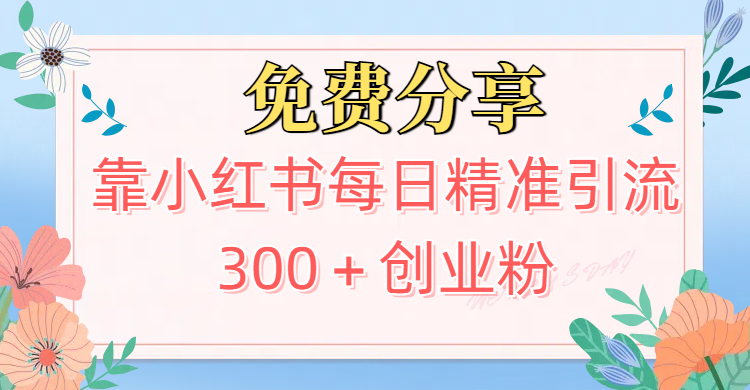 2025最新引流！靠小红书每日精准引流300＋创业粉赚米吧-网创项目资源站-副业项目-创业项目-搞钱项目赚米吧