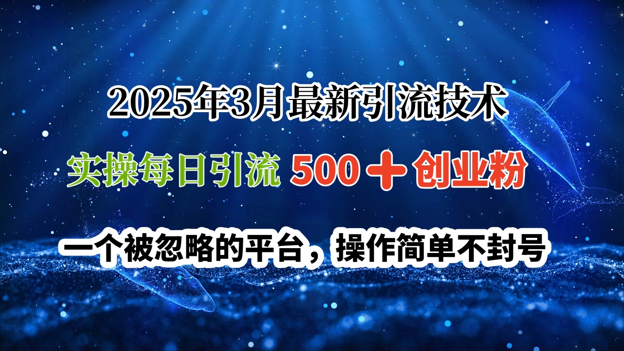 2025年3月最新引流技术，实操每日引流500➕创业粉，一个被忽略的平台，操作简单不封号赚米吧-网创项目资源站-副业项目-创业项目-搞钱项目赚米吧