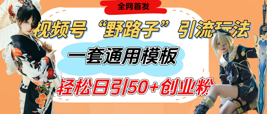 视频号“野路子”玩法，评论区疯狂截流，一套模板单日单号引流50+创业粉赚米吧-网创项目资源站-副业项目-创业项目-搞钱项目赚米吧