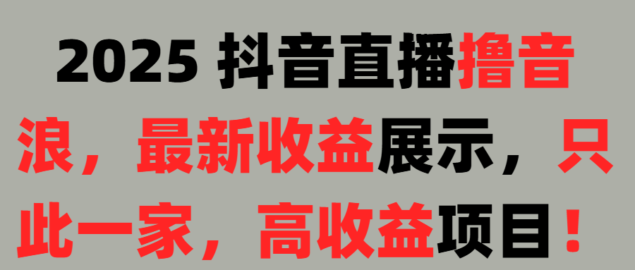 2025 抖音直播撸音浪，最新收益展示，只此一家，高收益项目！赚米吧-网创项目资源站-副业项目-创业项目-搞钱项目赚米吧
