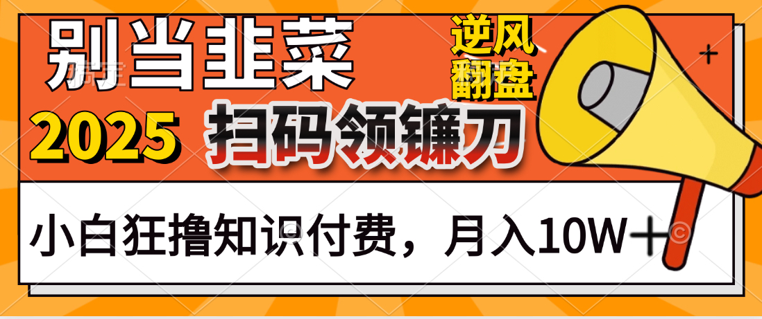 2025别当韭菜！扫码领镰刀！小白狂撸知识付费月入10W+赚米吧-网创项目资源站-副业项目-创业项目-搞钱项目赚米吧