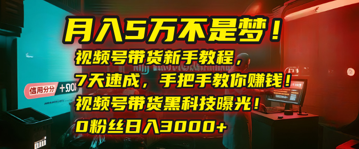 月入5万不是梦！视频号带货新手教程，7天速成，手把手教你赚钱！视频号带货黑科技曝光！0粉丝日入3000+赚米吧-网创项目资源站-副业项目-创业项目-搞钱项目赚米吧
